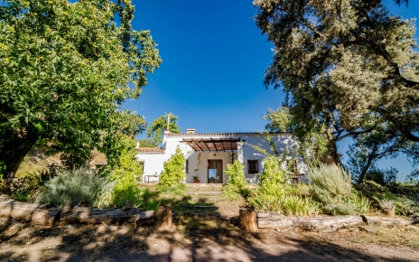 Escaleras a la casa rural desde la zona de aparcamiento
