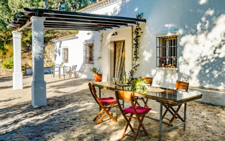 Los árboles dan sombra natural a la casa