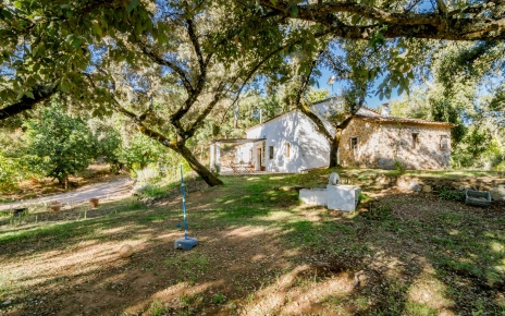 A los niños les encanta el espacio al aire libre