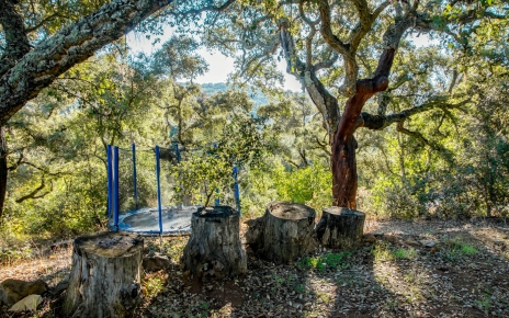 Juegos al aire libre, en 2019 había una cama elástica