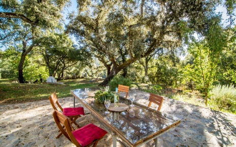 Mesa de comedor principal al aire libre