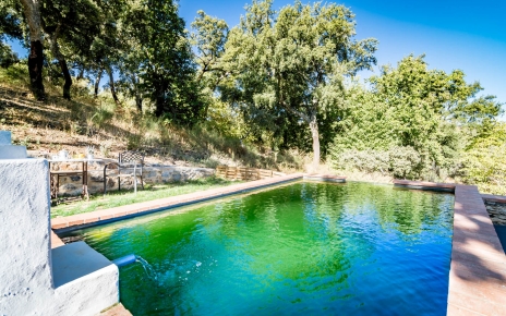 La piscina eco tiene un sistema natural para filtrar el agua