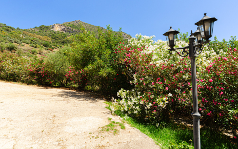 Parking area right next to the property