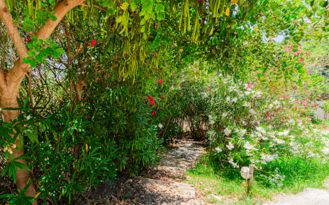 The pool is a few steps below house and terraces