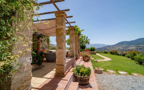 Jardines con césped