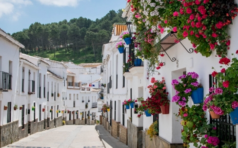 Gastor village with bars and restaurants is 5 mins away