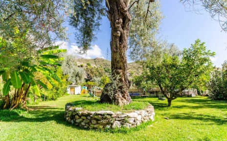 Amplios jardines perfectos para niños