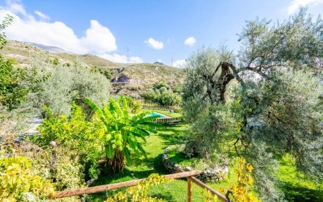 Jardines subtropicales