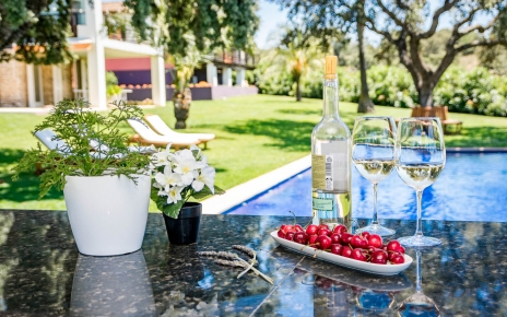 Piscina y propiedad vistas desde el bar