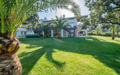 Planta alta con terrazas y planta baja con sala de yoga 