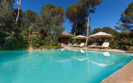 Tumbonas y sombrillas