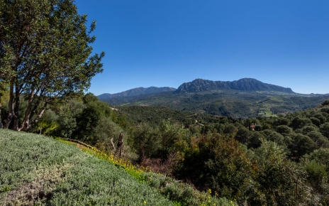 Su ubicación cerca de los pueblos de Gaucín y Casares