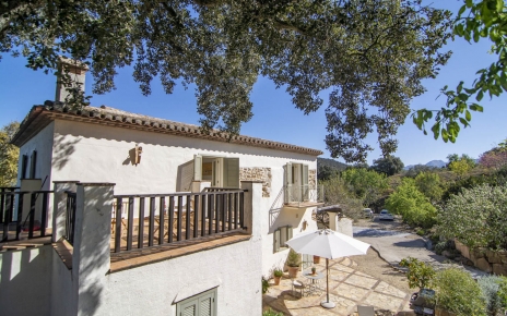 1er piso dormitorio terraza y patio debajo