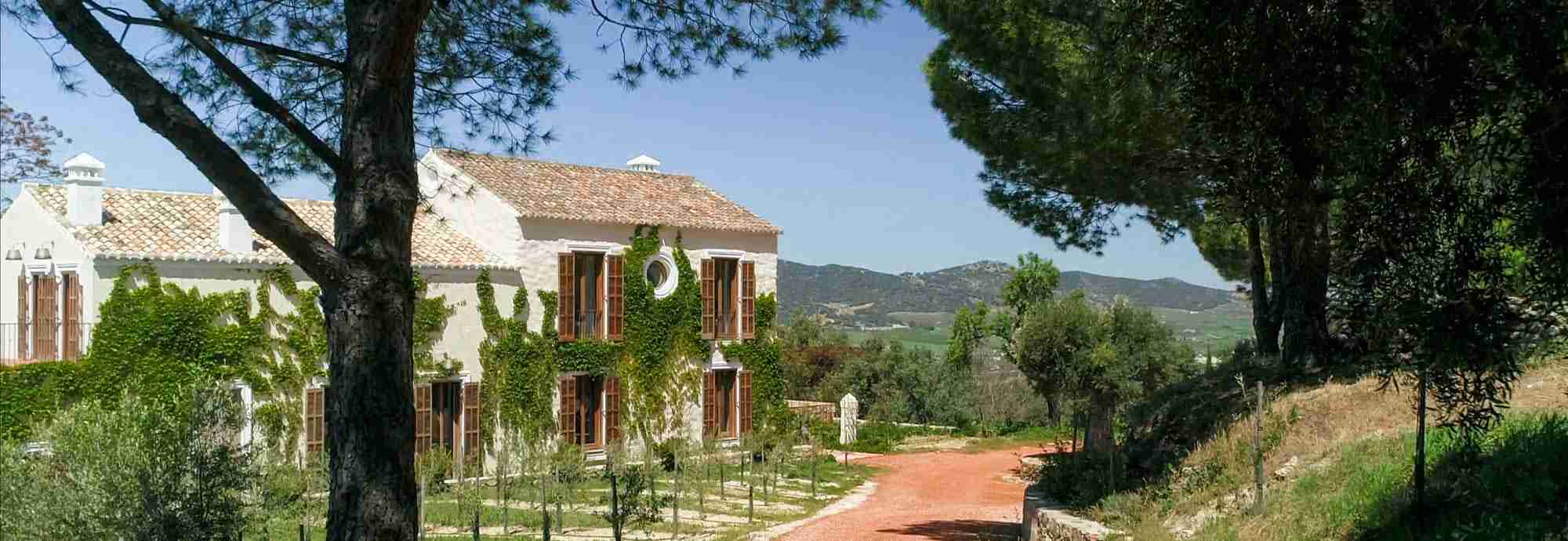 Luxurious villa experience, an outstanding place for organic holidays