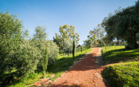 Your private spot in Andalucia