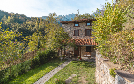 Gardens on two levels and cottage