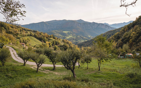 Acceso del pueblo a la casa