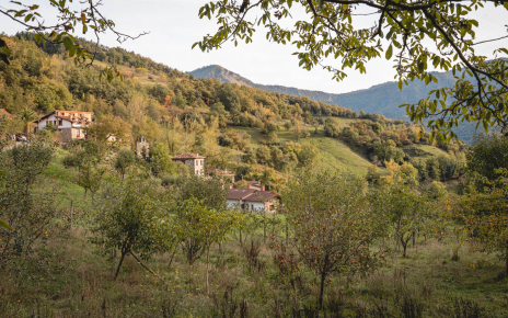 Your little holiday village (one restaurant)