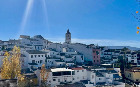 El pueblo de Arriate está a 15 mins a pie