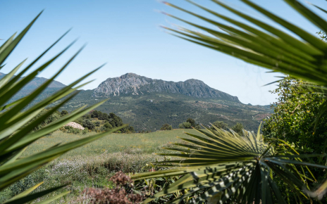 Las montañas de Crestellina