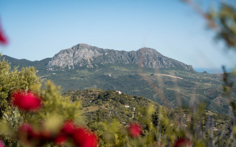 Crestellina Ridge and Mediterranean sea views