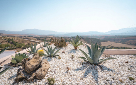 Original solarium terrace