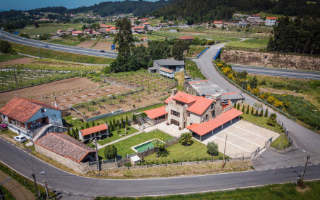 Lo zona esta repleta de viñedos