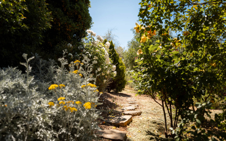 Walking among flowers
