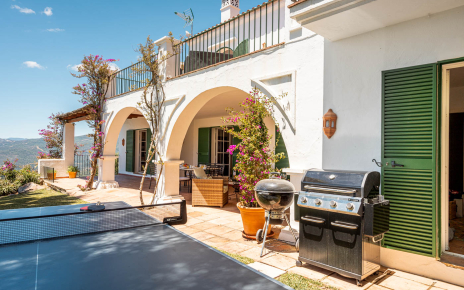 Gas barbecue and table tennis