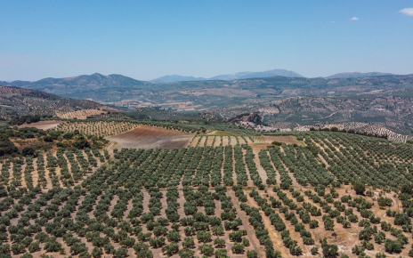 Montefrio in the distance