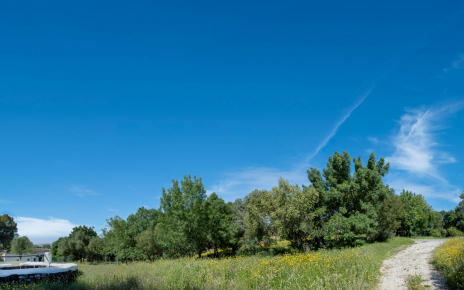 La finca en primavera