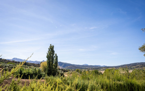 Views from the kitchen window