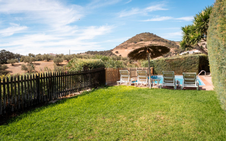 Lawned area next to swimming pool