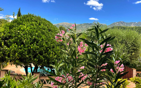 Vistas excepcionales