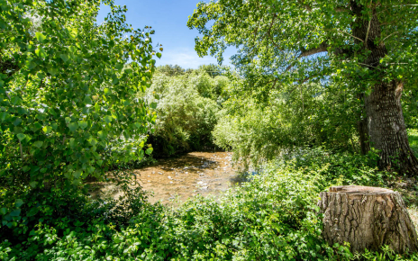 El río Guadiaro está a un corto paseo