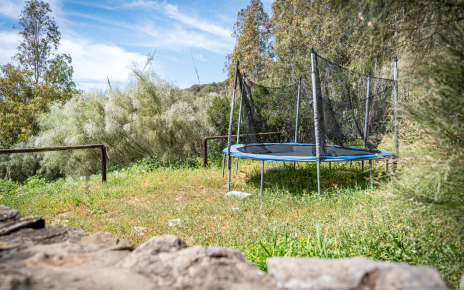 Cama elástica (siempre testar antes de usar)