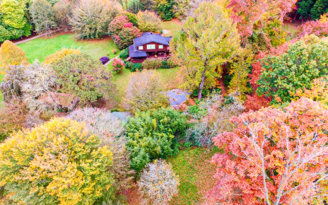 Your holiday cabin seen from a drone in Autumn
