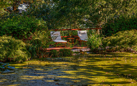 Relax area by one of the ponds