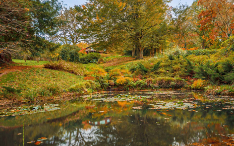 Your holiday home is hidden away