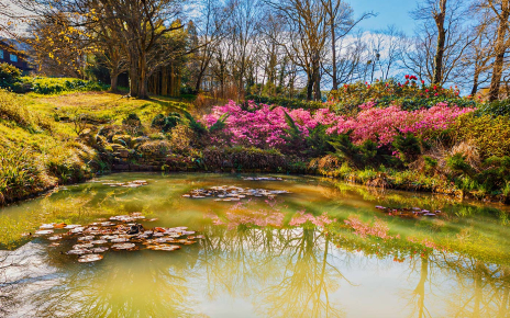 One of the four ponds we find at your private holiday estate