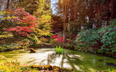 Fascinating private gardens