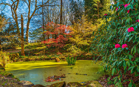 Make sure you bring a good camera for your holidays