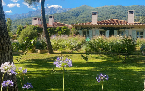 El telón de fondo el el Pico Almanzor (Gredos)