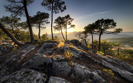Estás en el Parque Natural de Gredos