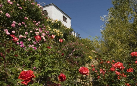 Property seen from below (rose garden)