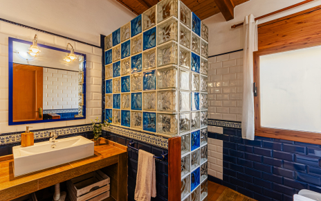 Bathroom (walk-in shower)