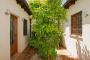 Dormitorio 1 tiene acceso a patio (planta baja)