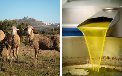 This region of Spain is popular for its exceptional olive oild and cheese