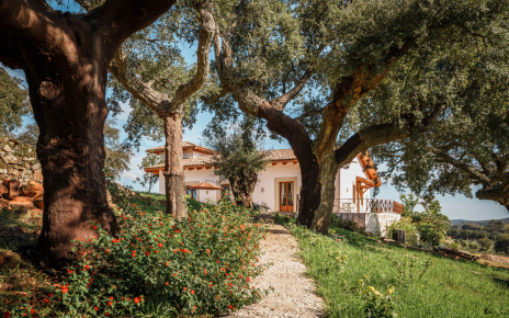The house seen from path to pool area