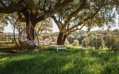 Different areas to relax under the cork oak trees